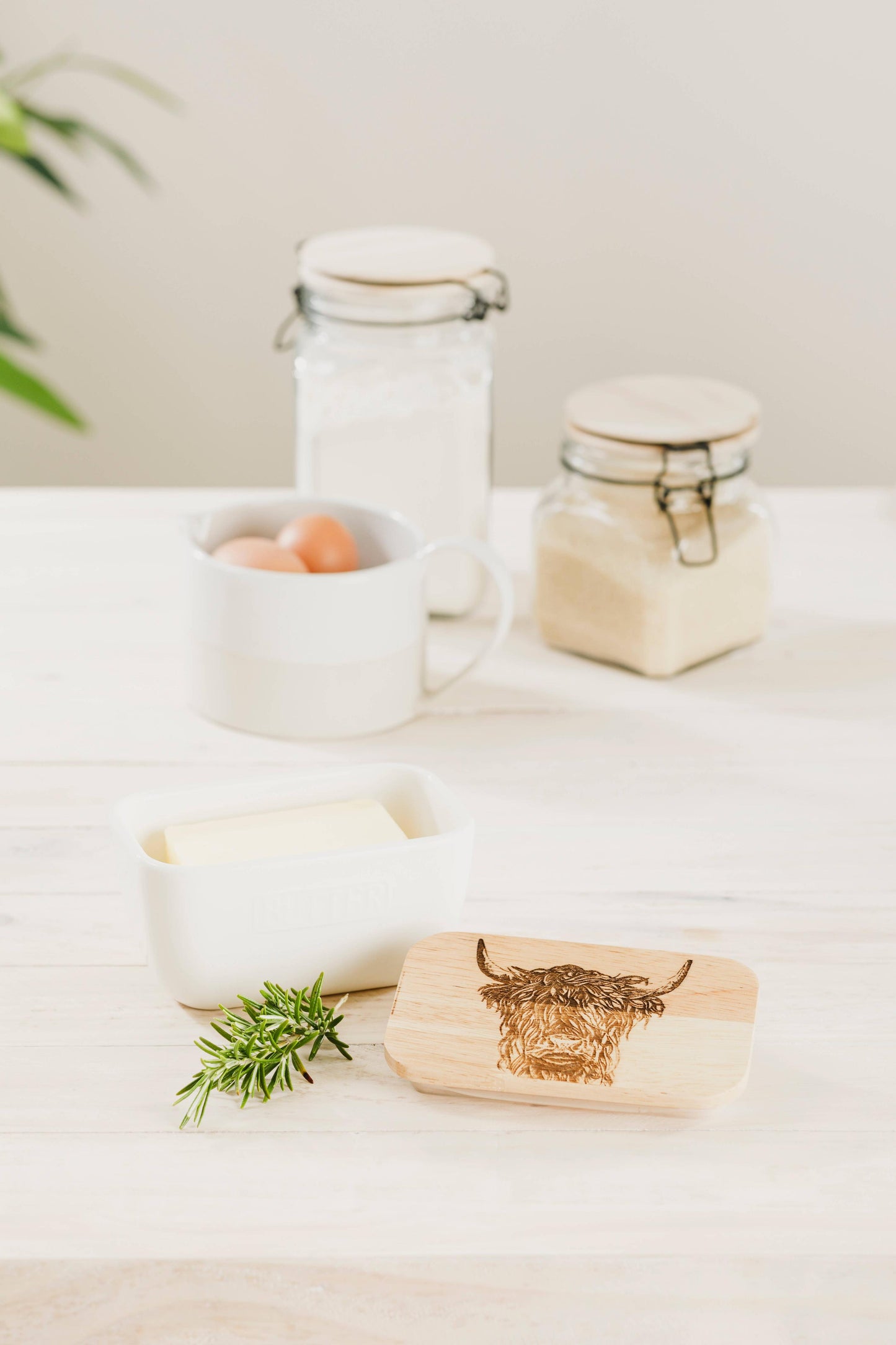 Selbrae House Ltd - Highland Cow Oak and Ceramic Butter Dish - White