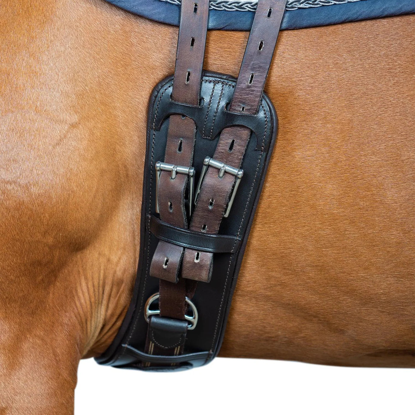 Flexible Fit Anatomical Inbuilt Elastic Dressage Girth