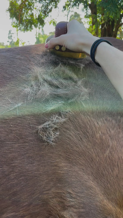 Hairy Pony Metal Brush