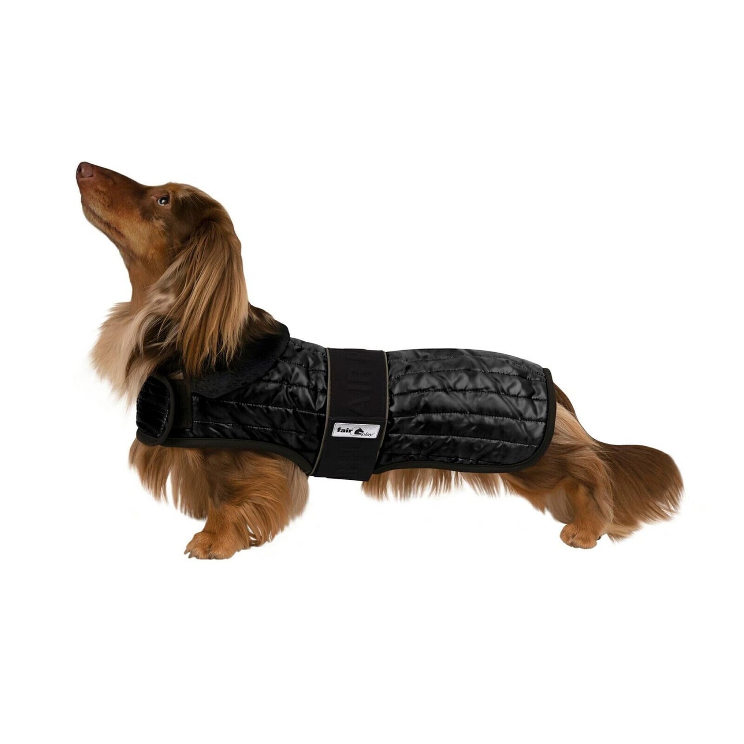 FairPlay Gustavo Dog Coat