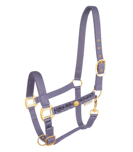 Waldhausen Halter Florence