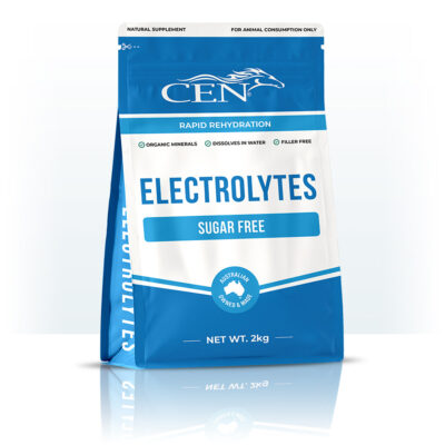 CEN Horse Complete Electrolyte