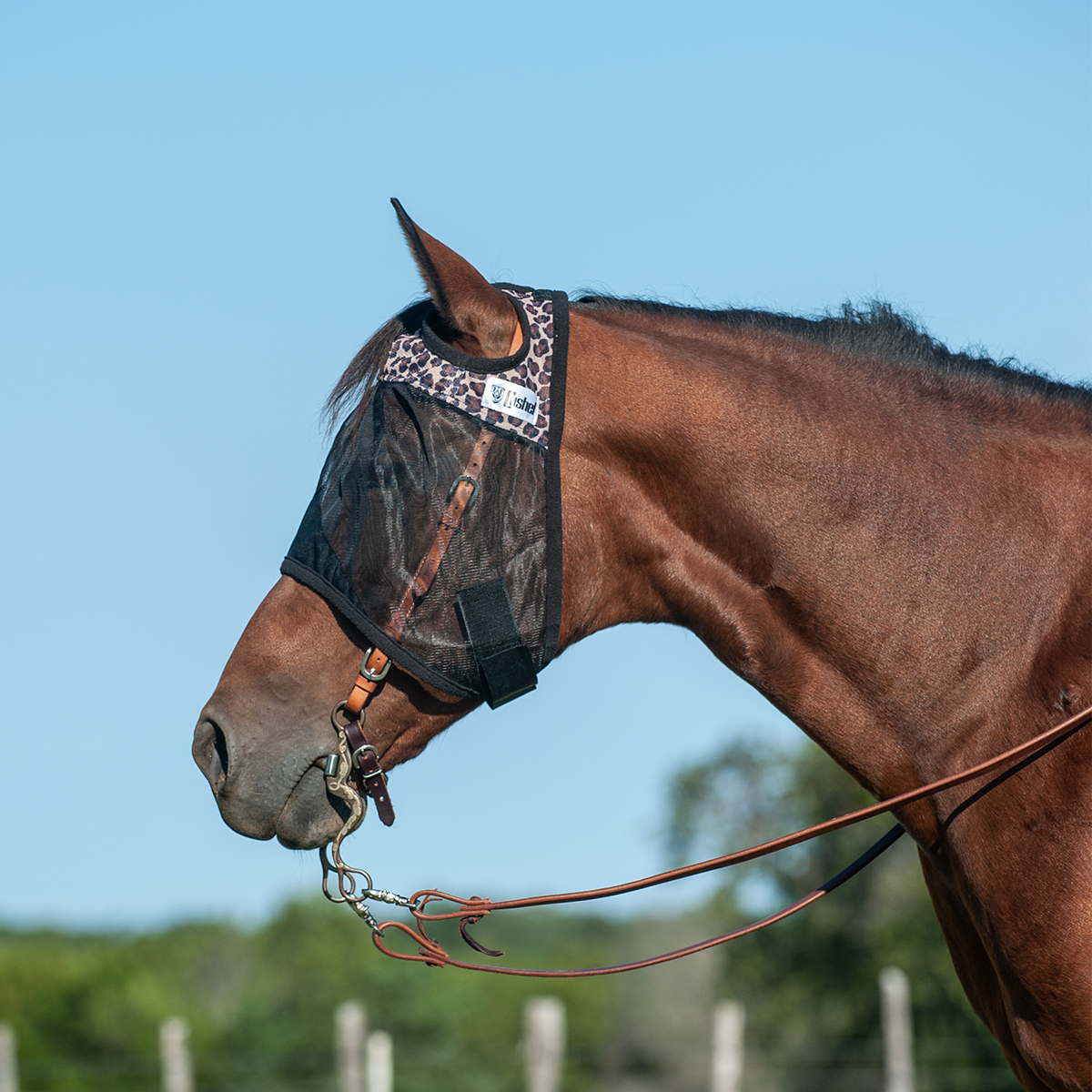 Cashel Quiet Ride Fly Mask