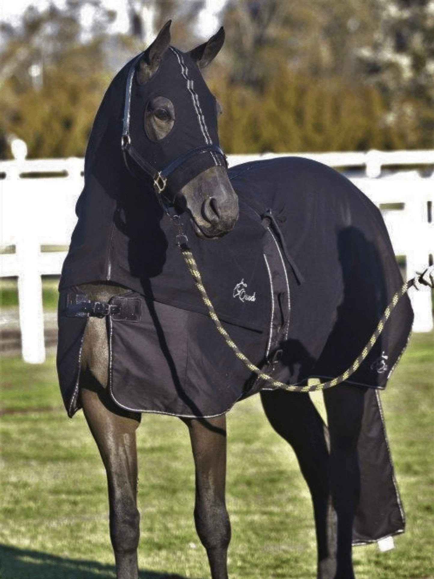 Earlwood Black Cotton Show Rug & Tail Bag - HOOD SOLD SEPARATELY