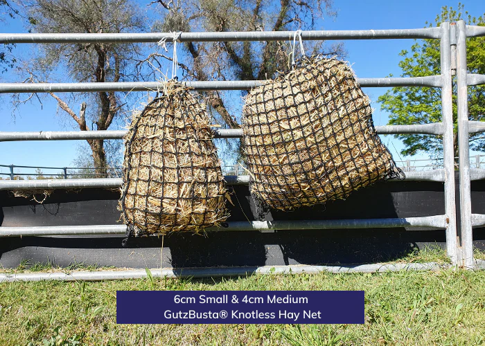 GutzaBusta Haynet Knotless 60mm