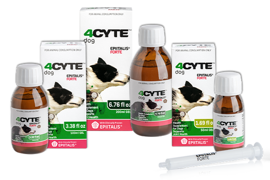 Interparth 4Cyte Epitalis Gel - Dog