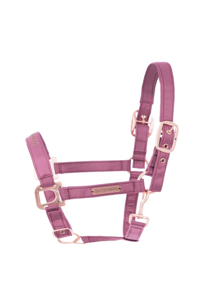 Cavallo Harriett Halter