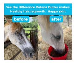 HSE Batana Butter