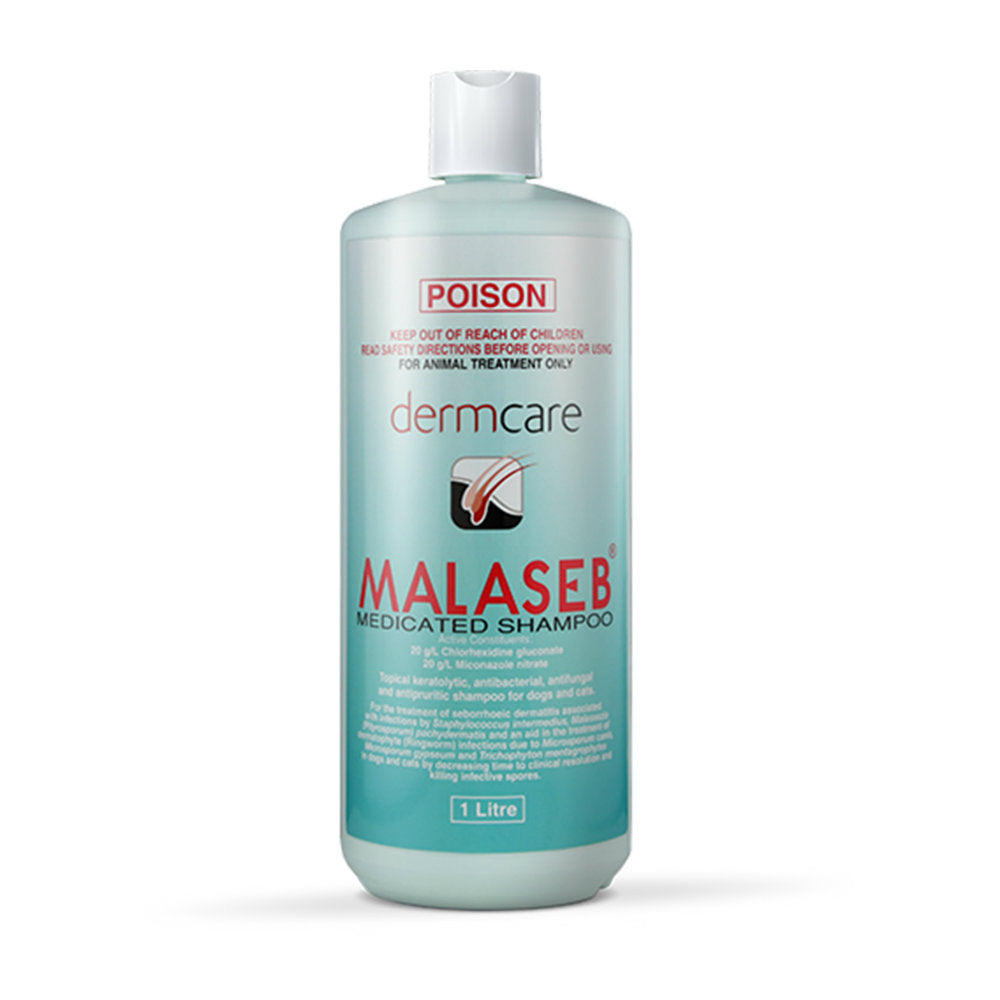 Dermacare Malaseb Medicated Shampoo