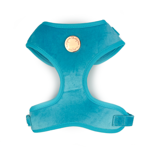 Holly and Co - Velvet Dog Harness // Caribbean Blue