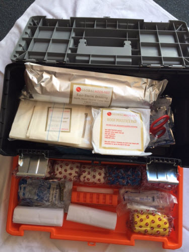 Global MediVet Emergency First Aid Kit