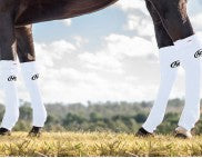 Hidez Seamless Ice Compression Sock - Horse