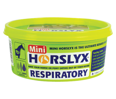 Horslyx Vitamin and Mineral Lick