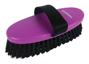 Gymkhana Body Brush