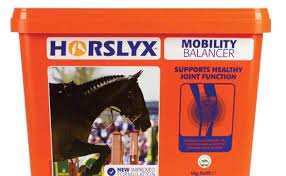 Horslyx Vitamin and Mineral Lick