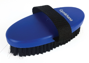 Gymkhana Body Brush