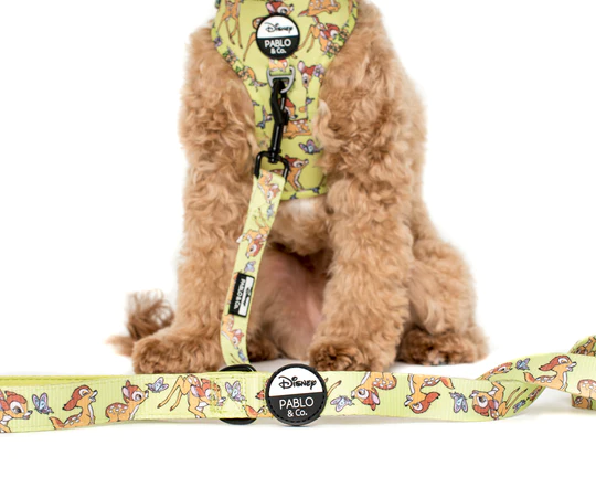 Pablo & Co Dog Leash - Bambi & Butterflies