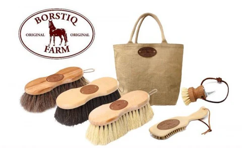 Borstiq Brush Kit - Natural