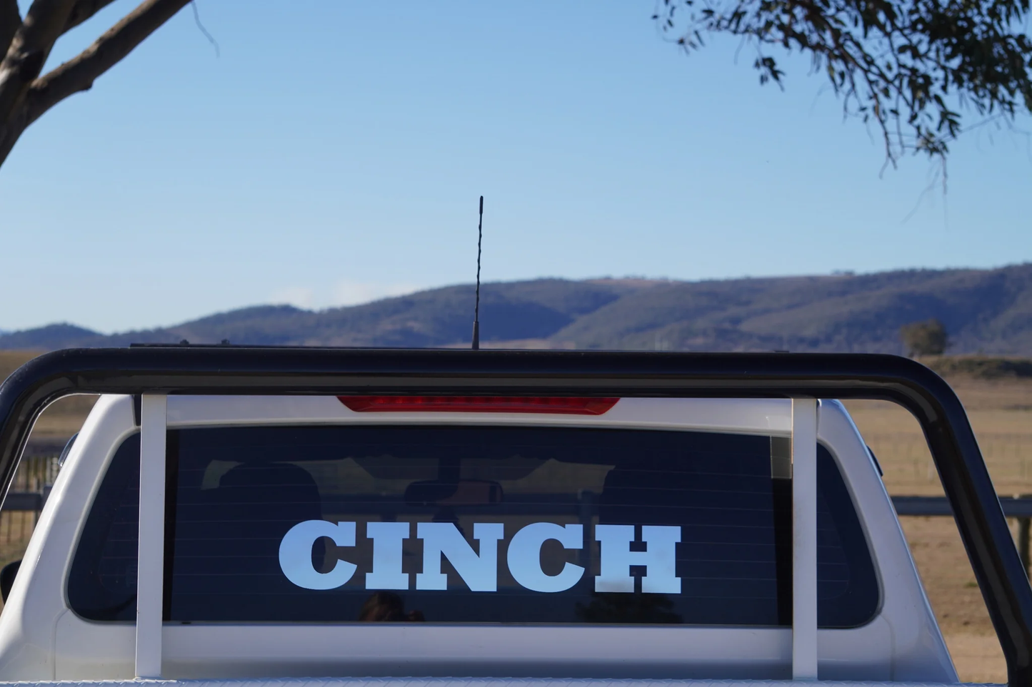 Cinch Silver Decal