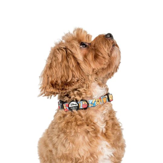 Pablo and Co Dog Collar - Pooh's Balloons - Size S Only