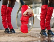 Hidez Seamless Ice Compression Sock - Horse