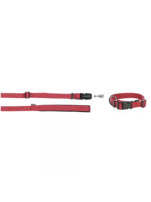 GoLeyGo Leash and Collar Set