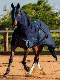 Earlwood Navy Cotton Show Rug & Tail Bag - Size 6'0" Navy/Red & 6'9" Navy/Electric Blue Only