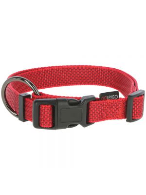 GoLeyGo Leash and Collar Set