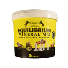 Equilibrium Mineral Mix