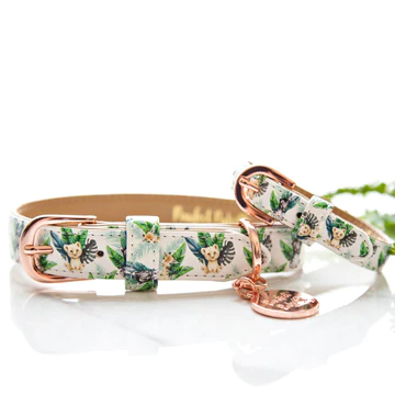 Pawfect Pals Wild One Vegan Leather Dog Collar - Size S Only