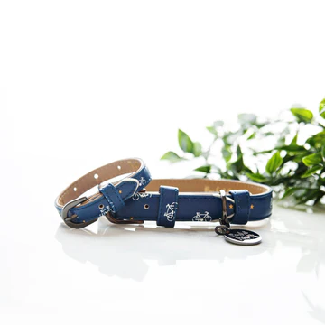 Pawfect Pals Bracelet