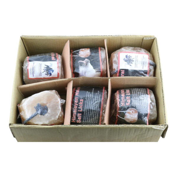 Eureka Himalayan Natural Salt Lick