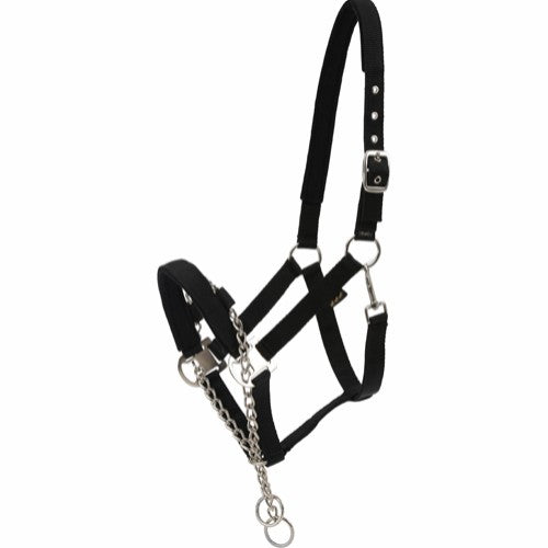 HG Halter with Chain