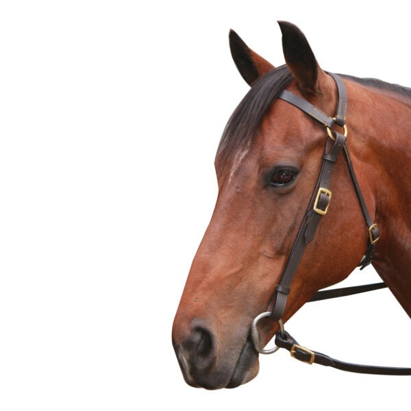 Eureka Brass Barcoo Bridle