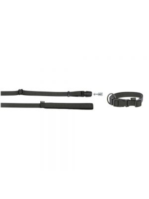 GoLeyGo Leash and Collar Set