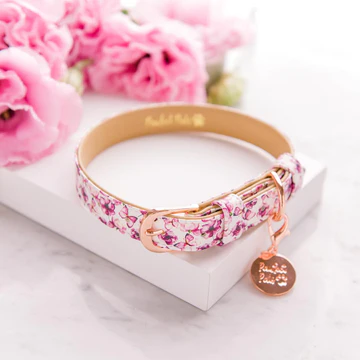 Pawfect Pals You Give Me Butterflies Vegan Leather Dog Collar - Size M Only