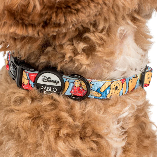Pablo and Co Dog Collar - Pooh's Balloons - Size S Only