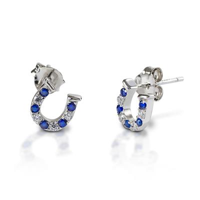 Kelly Herd Earrings Blue & Clear Horseshoe