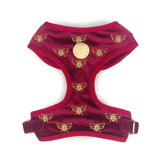 Holly and Co - Velvet Dog Harness // Queen Bee