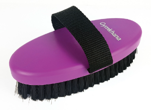 Gymkhana Body Brush