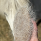 Ippico Equestrian - 'Scruff' Body Brush