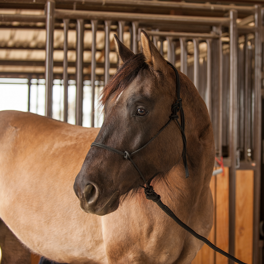 Classic Equine Premium Rope Halter