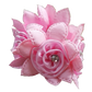 Hamag Rose Petal Scrunchie with Crystals