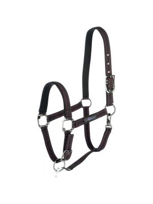 GoLeyGo Horse Halter