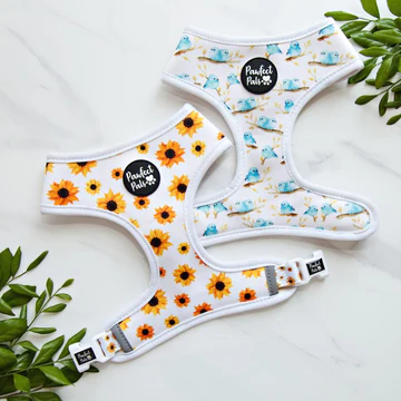 Pawfect Pals Sunshine On My Mind - Reversible Dog Harness - Size L Only