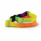 Prestige 3/8" Adjustable Rainbow Cat Collar