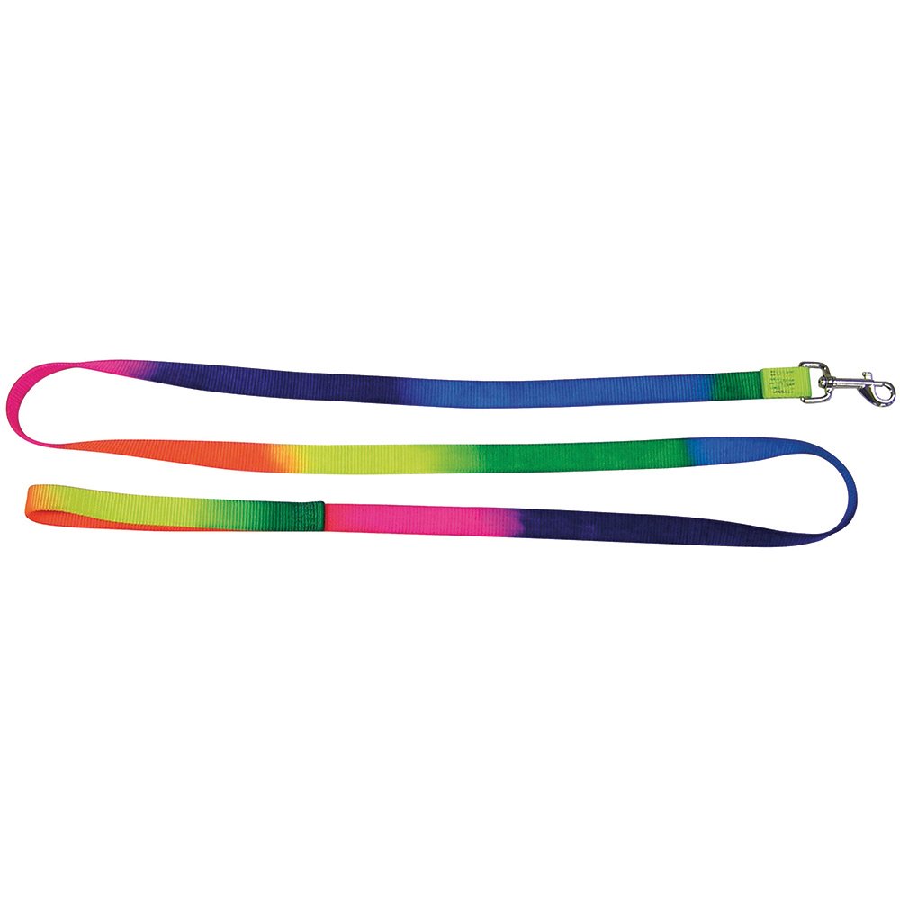 Prestige Rainbow Nylon Leash