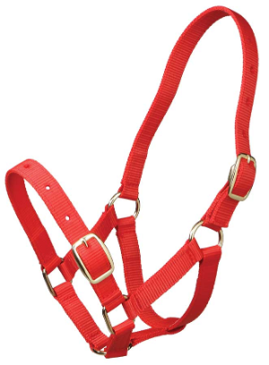 Gymkhana Foal Halter