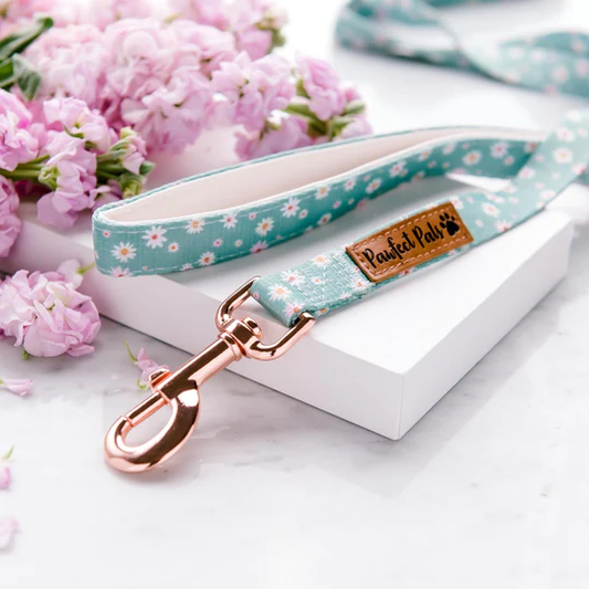 Pawfect Pals Soft Dog Lead