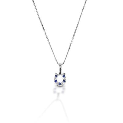 Kelly Herd Necklace Blue & Clear Horseshoe